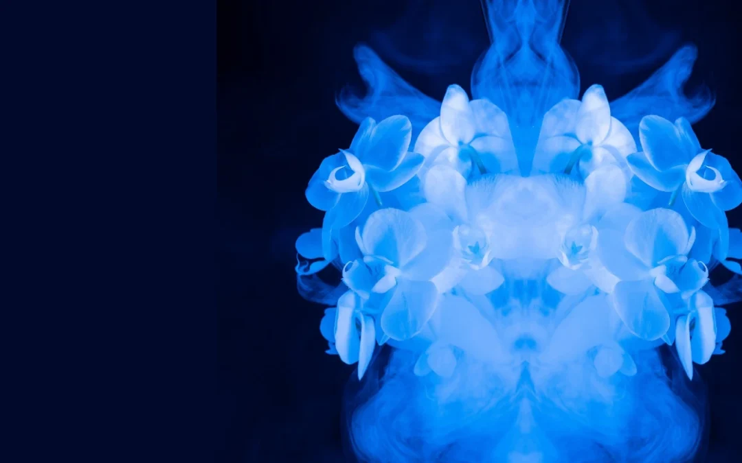 Envie de Rien, Envie de Tout