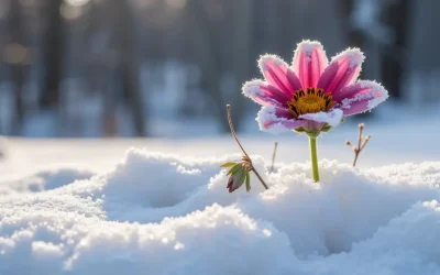 La Résilience n’est pas que du Lâcher Prise