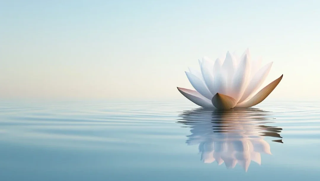 Je ne suis plus la Course