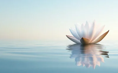 Je ne suis plus la Course