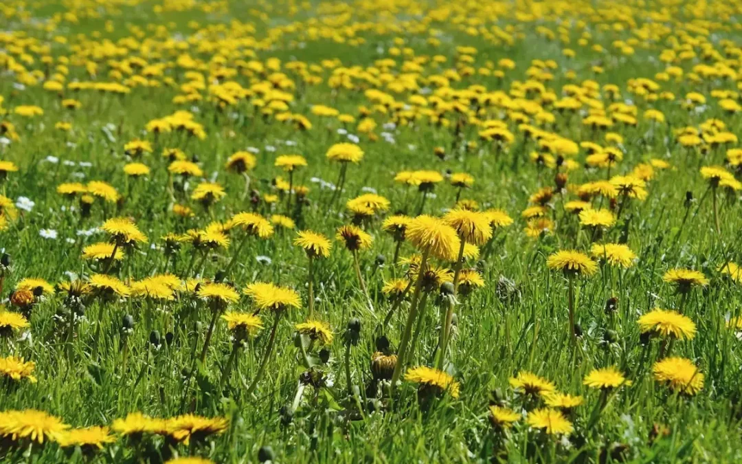 Il y a TOUT dans cette Particule