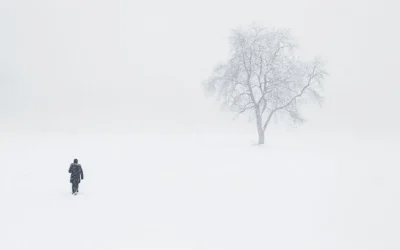Le Paradis Blanc